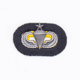 60s Vietnam War Cut Edge 101st Airborne HQ Oval & Jump Wings