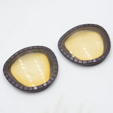 US Army M17 Gas Mask M1 Eyelenses Protective Outserts