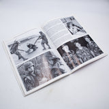 The U.S. Army Today Paperback Book by Christopher J. Anderson