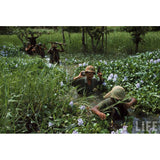 50s-60s Vietnam War USMC M1 Helmet Set