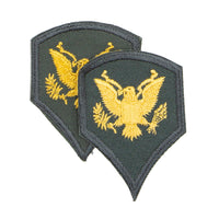 1950s Vintage US Army Full Colour Cut Edge E-4 Specialist Rank Chevrons Patch Set